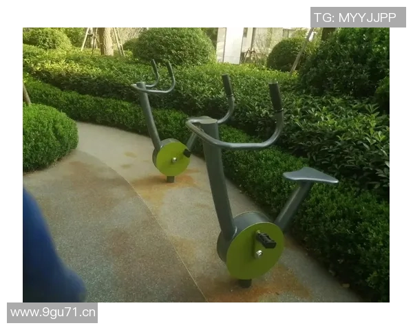 老人健身器材图片:适合老年人使用的健身器材与图片展示 老人健身器材图片:适合老年人使用的健身器材与图片展示